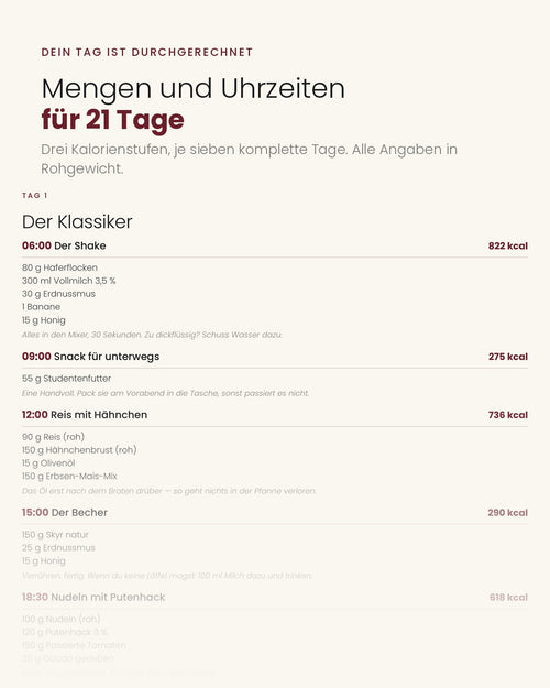 MASE Aufbauplan — Ernährungs- und Trainingsplan zum Zunehmen